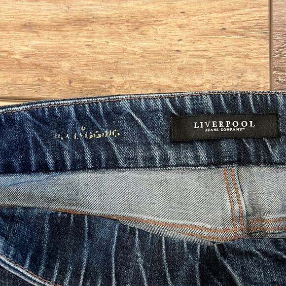 LIVERPOOL The Skinny Leg Pull On Jeggings Size 6 - Picture 3 of 10